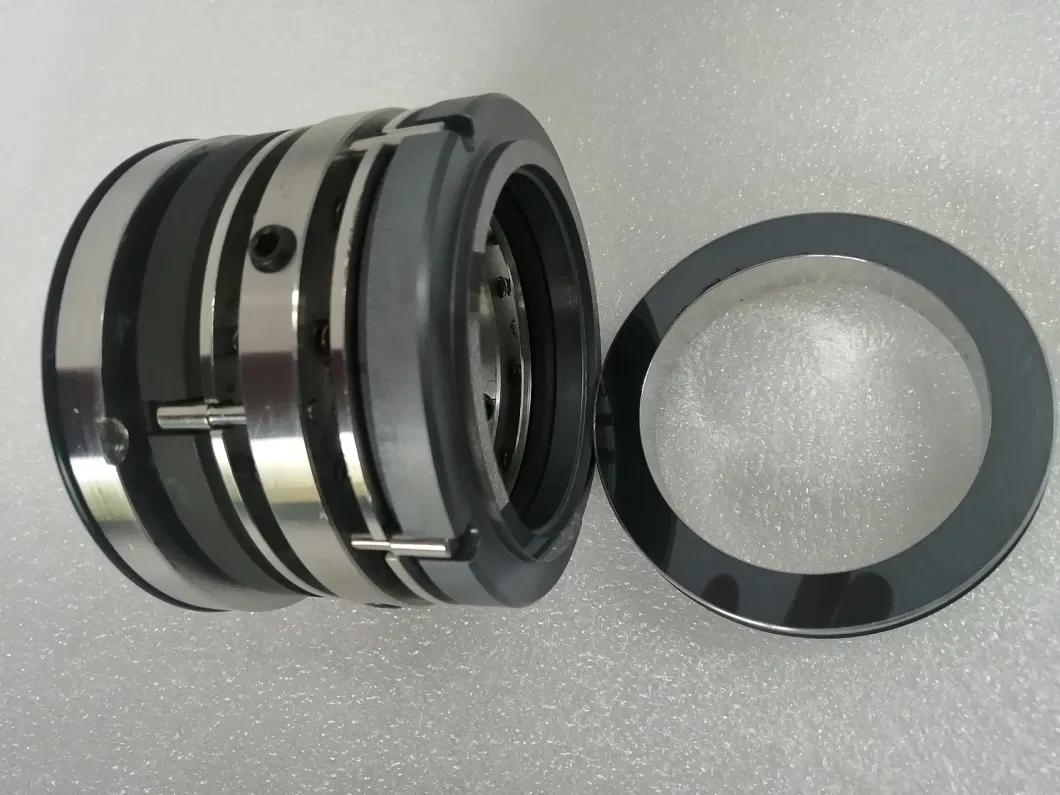 Glf Xedxm-70 Flowserve Mechanical Seal, Water Pump, Below Rubber Seal, Gasket