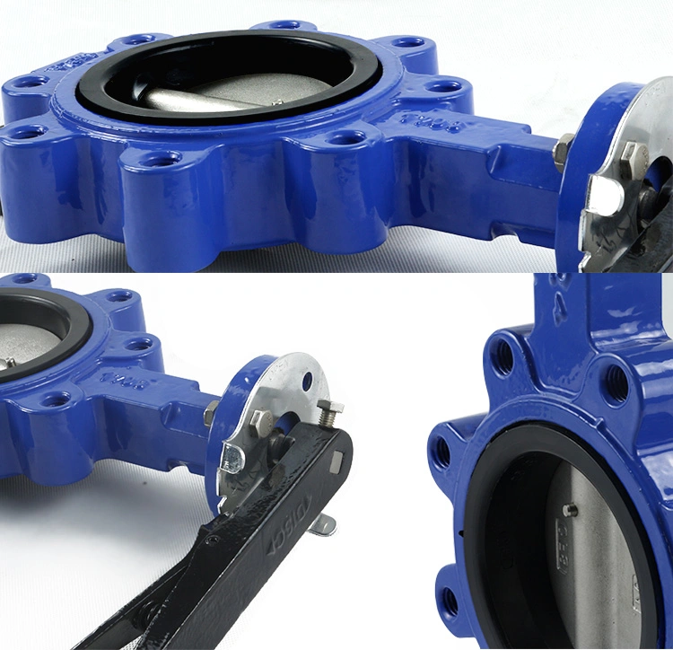 Lug Concentric Butterfly Valve EPDM Seat Rubber Seat