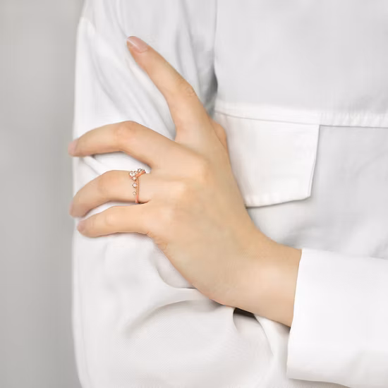 Ring aus 925er Silber mit Mikro-Zirkon-Krone und V-Schwanz